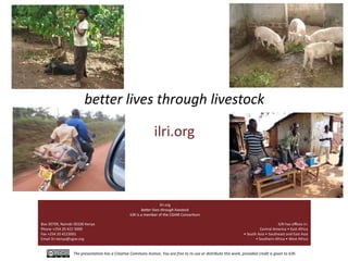 The use of sweet potato residues as feed in rural and peri-urban smallholder pig systems in Uganda 