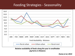 The use of sweet potato residues as feed in rural and peri-urban smallholder pig systems in Uganda 