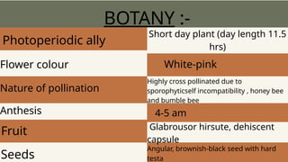 Sweet potato vegetable science ppt simple | PPTX