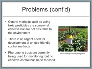 Problems (cont’d)
• Control methods such as using
  toxic pesticides are somewhat
  effective but are not desirable to
  the environment

• There is an urgent need for
  development of an eco-friendly
  control methods

• Pheromone traps are currently        Standard Trap Currently Being Used

  being used for monitoring, but no
  effective control has been reached
 