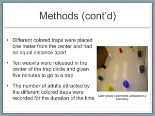 Methods (cont’d)

• Different colored traps were placed
  one meter from the center and had
  an equal distance apart

• Ten weevils were released in the
  center of the trap circle and given
  five minutes to go to a trap

• The number of adults attracted by
  the different colored traps were
                                          Color Choice Experiments Conducted in a
  recorded for the duration of the time                 Laboratory
 