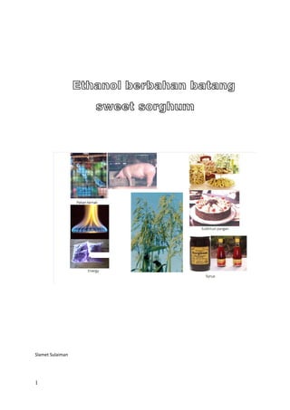 
                               
                               
                               

                   Ethanol berbahan batang
                      sweet sorghum
                               
                               
                               




                                              
                               
                               
                               
                               
                               
 
Slamet Sulaiman 
 


1
 