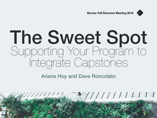 The Sweet Spot
Supporting Your Program to
Integrate Capstones
Ariane Hoy and Dave Roncolato
Bonner Fall Directors Meeting 2018
 