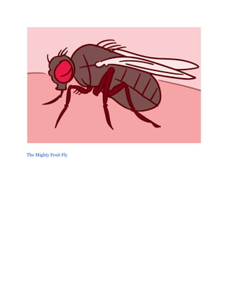 The Mighty Fruit Fly
 