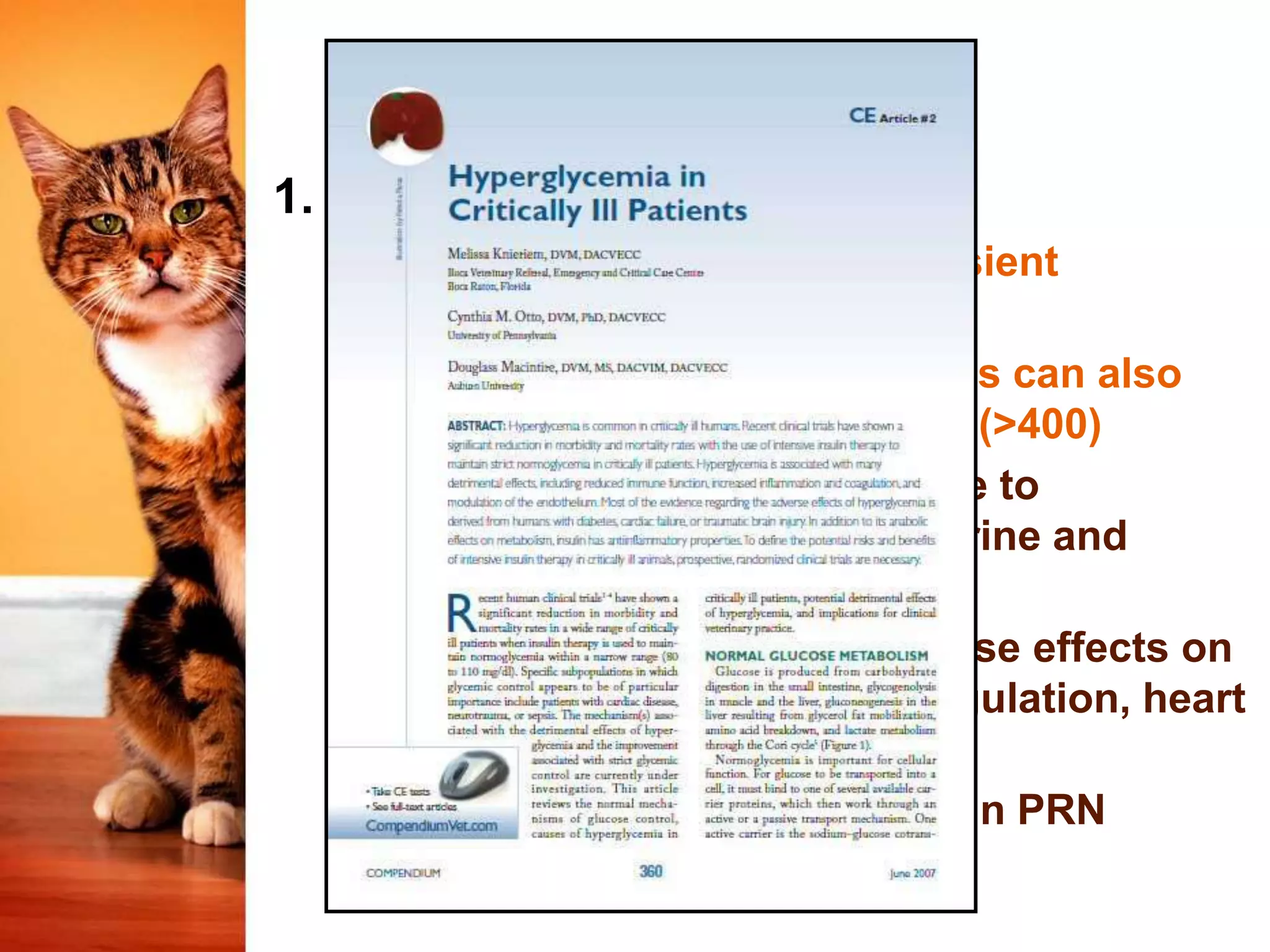 Illustration of Hyperglycemia Causes In Cats