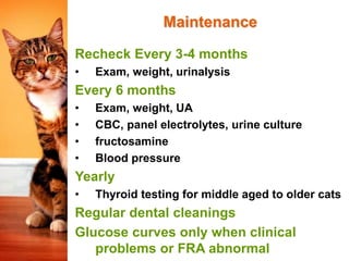 Sweet Success in diabetic cat management.ppt