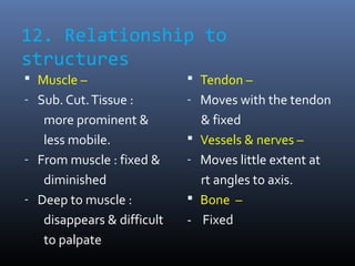 12. Relationship to
structures
 Muscle –
- Sub. Cut.Tissue :
more prominent &
less mobile.
- From muscle : fixed &
dimini...