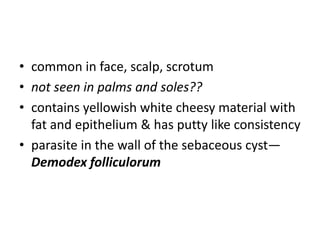 • common in face, scalp, scrotum
• not seen in palms and soles??
• contains yellowish white cheesy material with
fat and epithelium & has putty like consistency
• parasite in the wall of the sebaceous cyst—
Demodex folliculorum
 