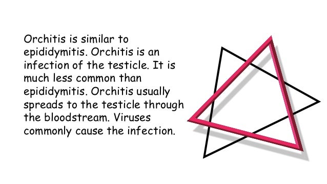 Orchitis is similar to
epididymitis. Orchitis is an
infection of the testicle. It is
much less common than
epididymitis. Orchitis usually
spreads to the testicle through
the bloodstream. Viruses
commonly cause the infection. 
 