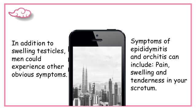 In addition to
swelling testicles,
men could
experience other
obvious symptoms.
Symptoms of
epididymitis
and orchitis can
include: Pain,
swelling and
tenderness in your
scrotum.
 