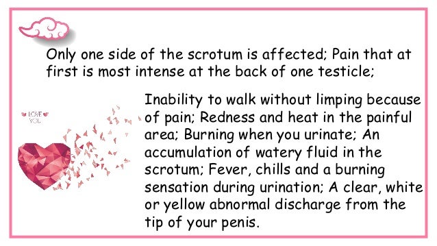 Only one side of the scrotum is affected; Pain that at
first is most intense at the back of one testicle;
Inability to walk without limping because
of pain; Redness and heat in the painful
area; Burning when you urinate; An
accumulation of watery fluid in the
scrotum; Fever, chills and a burning
sensation during urination; A clear, white
or yellow abnormal discharge from the
tip of your penis.
 