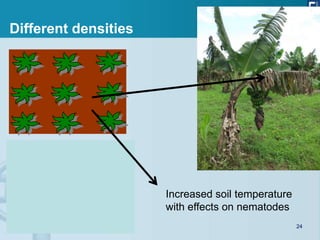 Different densities




                      Increased soil temperature
                      with effects on nematodes
 ...