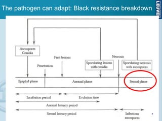 The pathogen can adapt: Black resistance breakdown




                                                 7
 