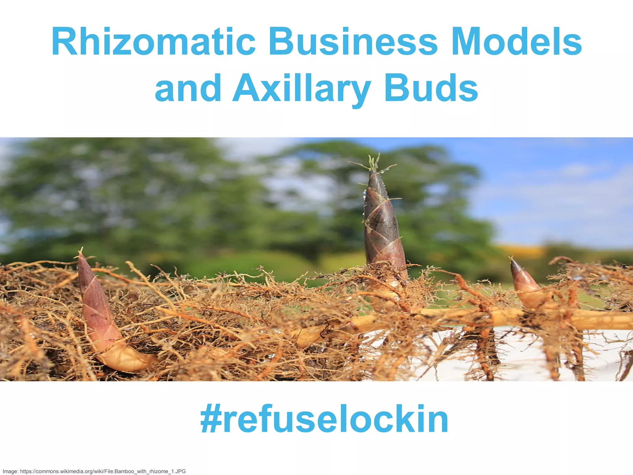 Rhizomatic Business Models
and Axillary Buds
Image: https://commons.wikimedia.org/wiki/File:Bamboo_with_rhizome_1.JPG
#refuselockin
 