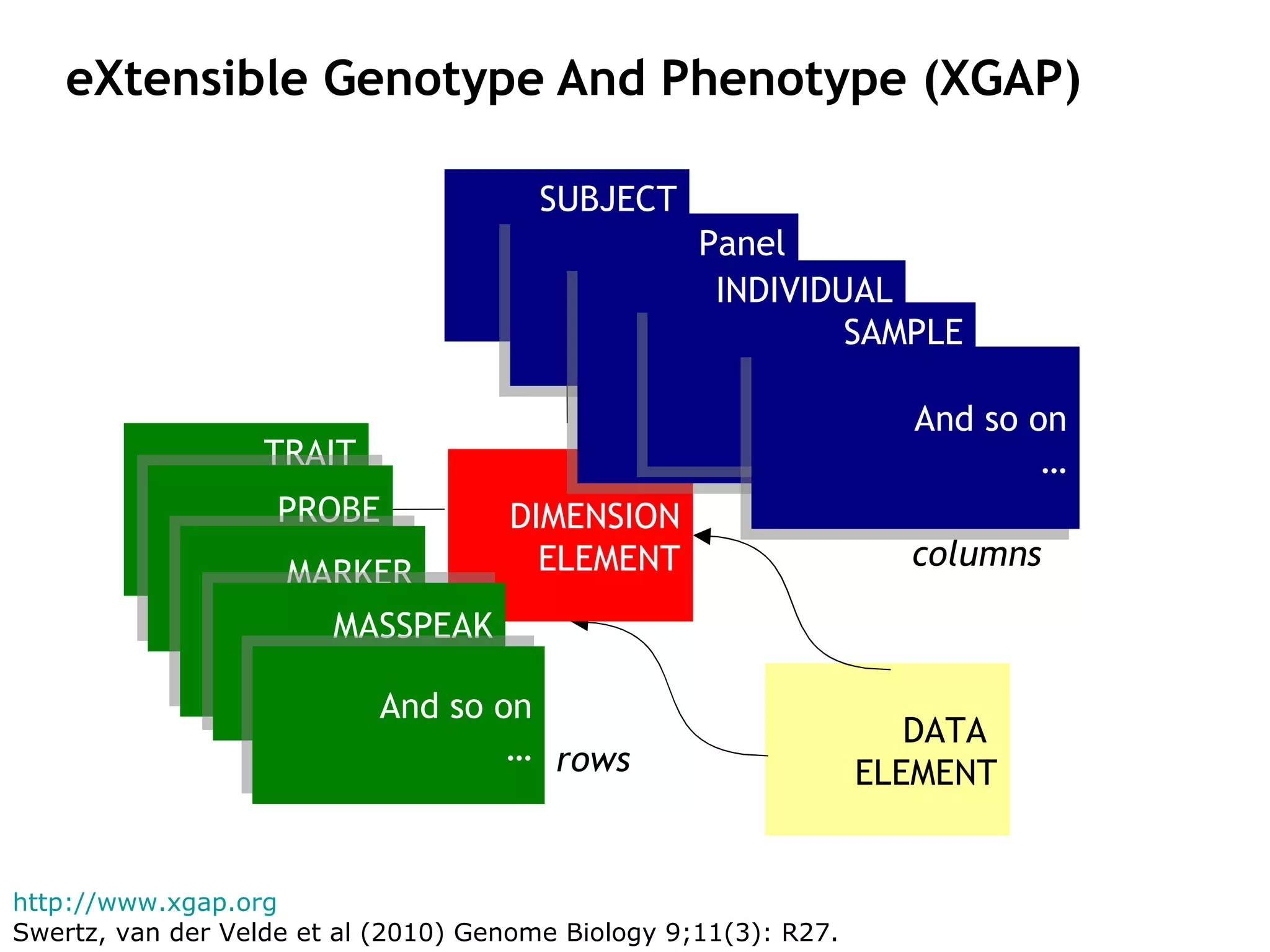 eXtensible Genotype And Phenotype (XGAP) DATA  ELEMENT TRAIT SUBJECT PROBE Name Gene Chromosme Locus MARKER Name Allele Chromosme Locus MASSPEAK Name MZ RetentionTime Panel Name Type: CSS, RIL.. Parent Panels INDIVIDUAL Name Strain Mother Father Sex SAMPLE Name Individual Tissue And so on … And so on … http://www.xgap.org   Swertz, van der Velde et al (2010)  Genome Biology 9;11(3): R27. columns rows DIMENSION ELEMENT 