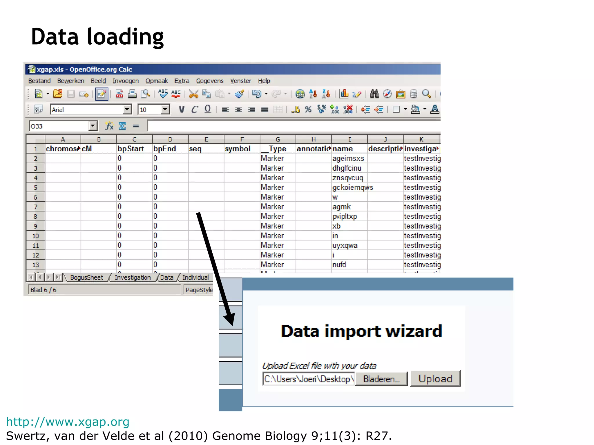 Data loading http://www.xgap.org   Swertz, van der Velde et al (2010)  Genome Biology 9;11(3): R27. 