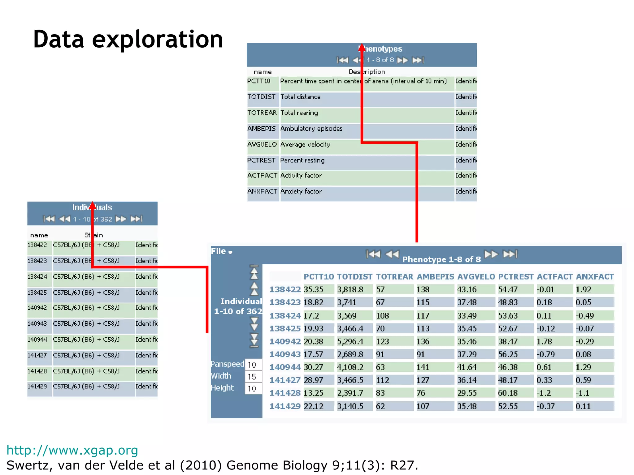 Data exploration http://www.xgap.org   Swertz, van der Velde et al (2010)  Genome Biology 9;11(3): R27. 