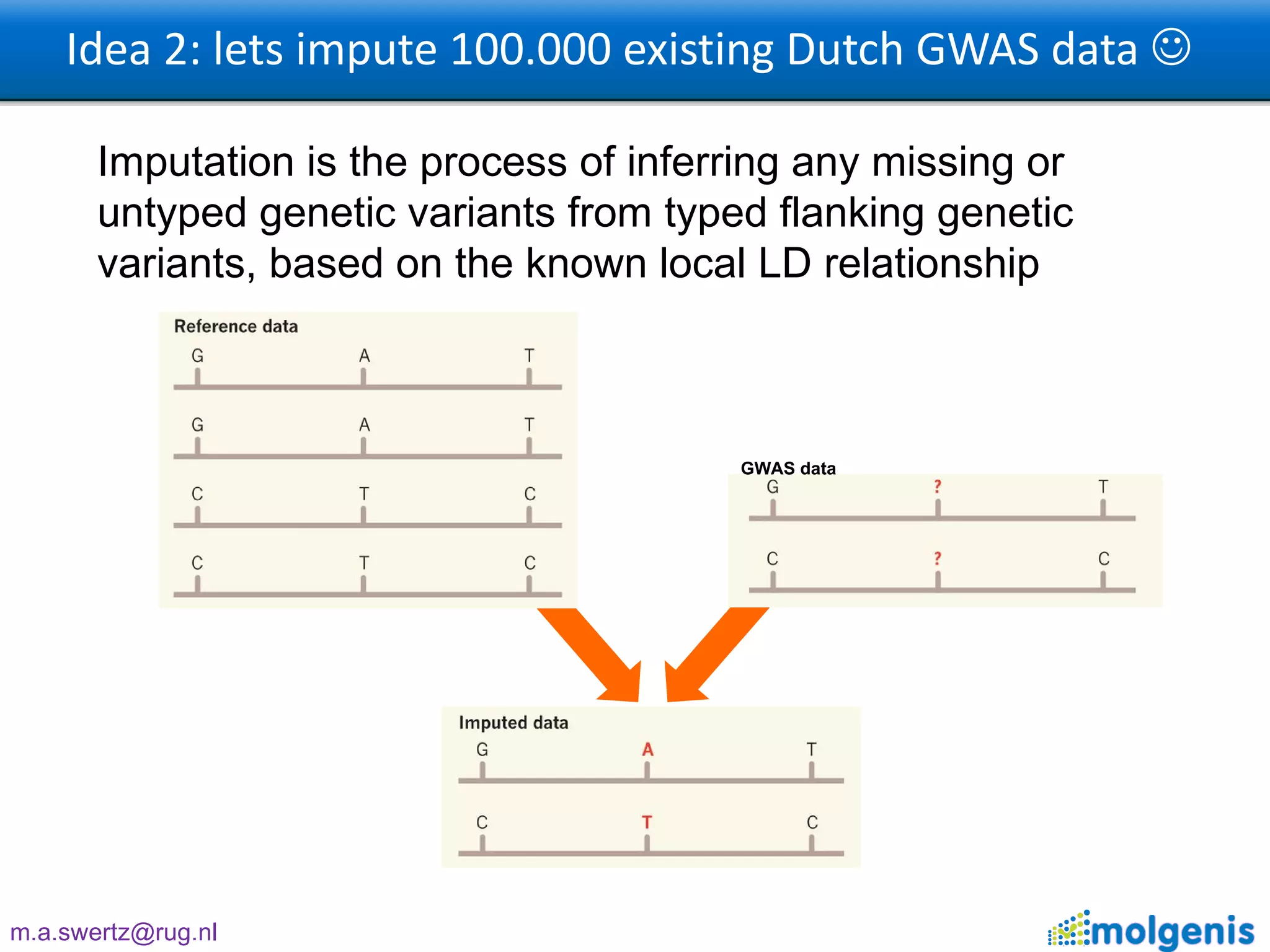 Idea 2: lets impute 100.000 existing Dutch GWAS data   Imputation is the process of inferring any missing or untyped genetic variants from typed flanking genetic variants, based on the known local LD relationship  GWAS data 