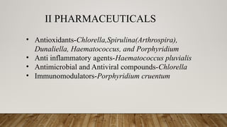 II PHARMACEUTICALS
• Antioxidants-Chlorella,Spirulina(Arthrospira),
Dunaliella, Haematococcus, and Porphyridium
• Anti inflammatory agents-Haematococcus pluvialis
• Antimicrobial and Antiviral compounds-Chlorella
• Immunomodulators-Porphyridium cruentum
 