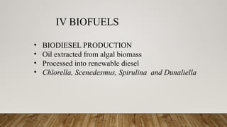 IV BIOFUELS
• BIODIESEL PRODUCTION
• Oil extracted from algal biomass
• Processed into renewable diesel
• Chlorella, Scenedesmus, Spirulina and Dunaliella
 