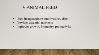 V ANIMAL FEED
• Used in aquaculture and livestock diets
• Provides essential nutrients
• Improves growth, immunity, productivity
 