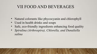 VII FOOD AND BEVERAGES
• Natural colorants like phycocyanin and chlorophyll
• Used in health drinks and soups
• Safe, eco-friendly ingredients enhancing food quality
• Spirulina (Arthrospira), Chlorella, and Dunaliella
salina
 
