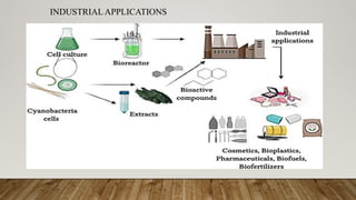 INDUSTRIAL APPLICATIONS
 