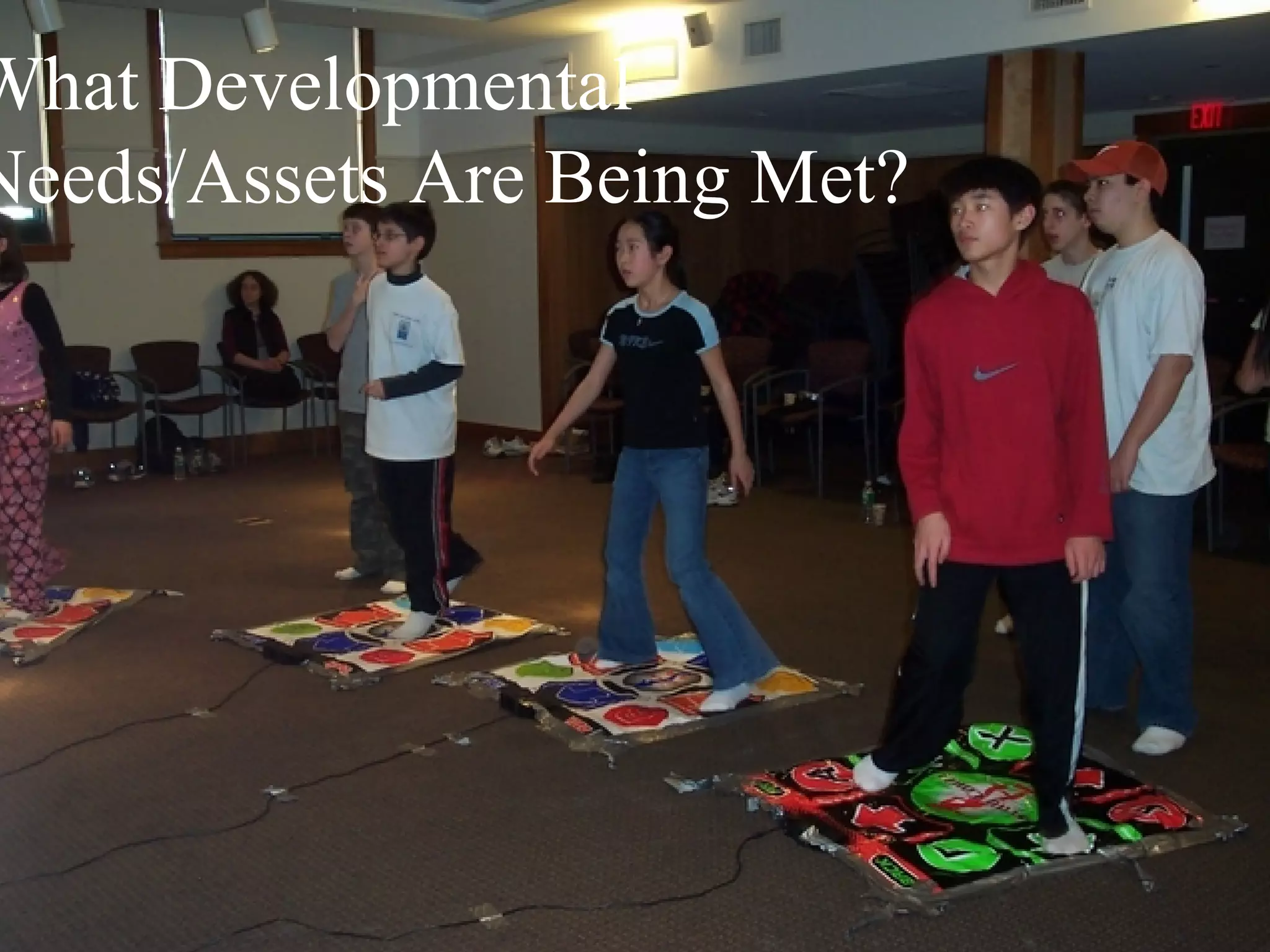What Developmental Needs/Assets Are Being Met? 