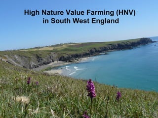High Nature Value Farming (HNV)
in South West England
 