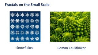 Fractals on the Small Scale
Snowflakes Roman Cauliflower
 