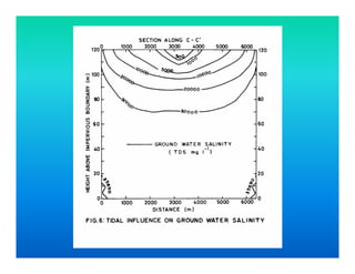 Modelling of Seawater Intrusion | PDF