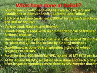 What have done at Kailali?
• Four farmers' controlled field trials were designed and
  established at Ramsikharjhala, Lalb...