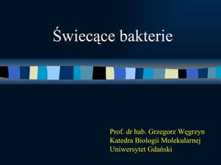 Świecące bakterie Prof. dr hab. Grzegorz Węgrzyn Katedra Biologii Molekularnej  Uniwersytet Gdański 