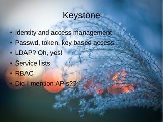 Keystone
●   Identity and access management
●   Passwd, token, key based access
●   LDAP? Oh, yes!
●   Service lists
●   RBAC
●   Did I mention APIs??
 