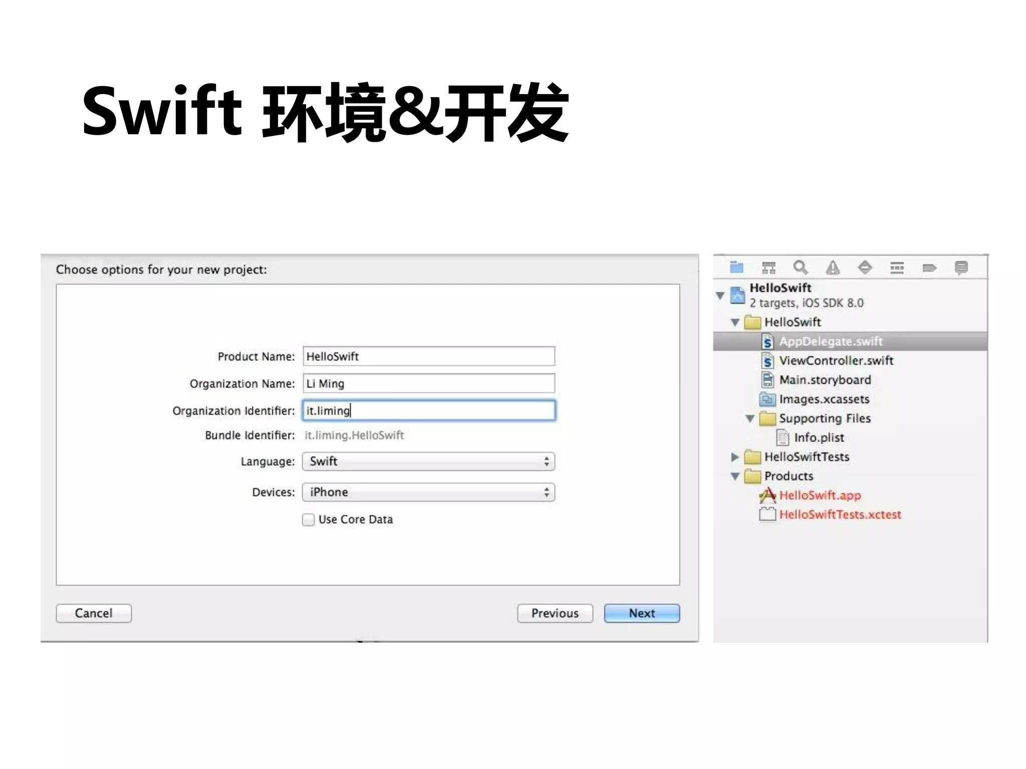 Swift 环境&开发
 