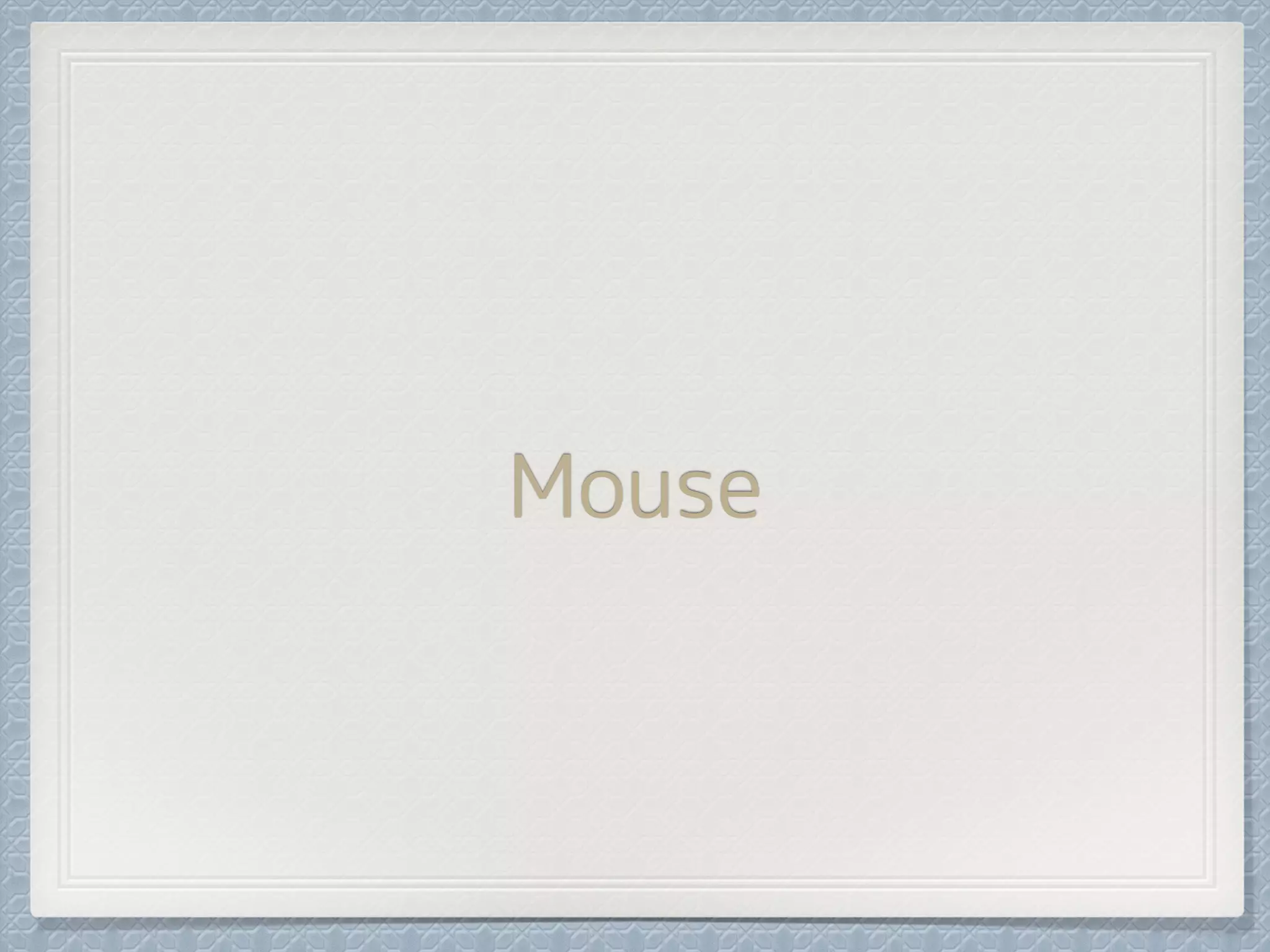 Mouse
 