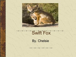 Swift Fox By. Chelsie 