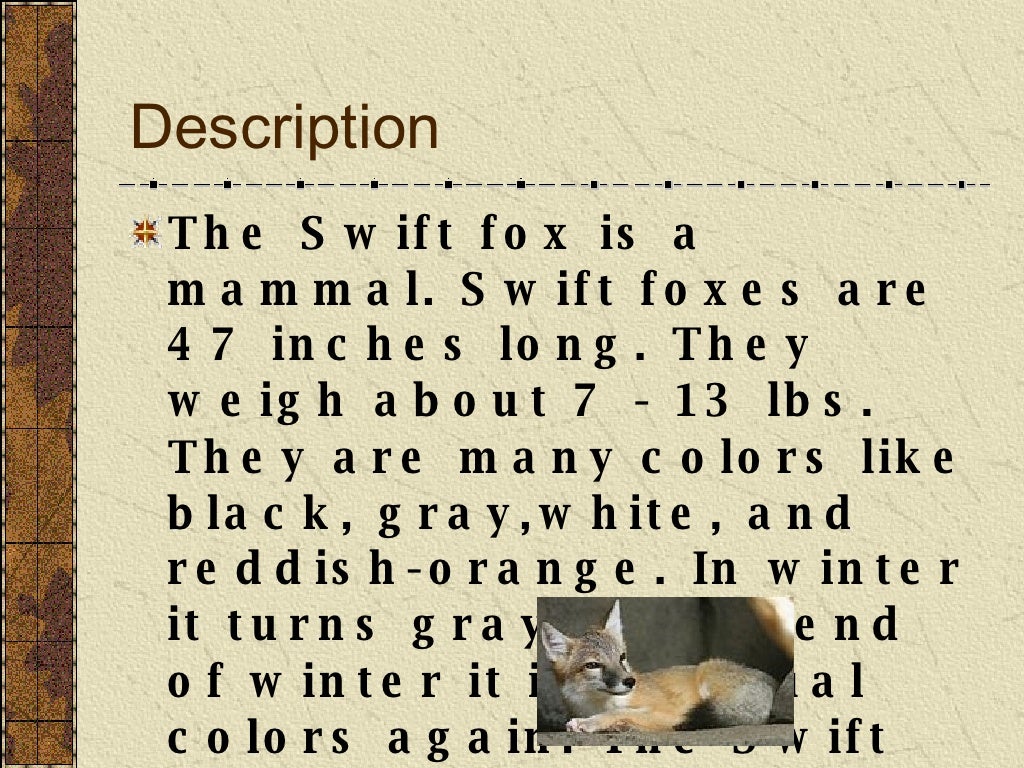 Swift Fox By Chelsie