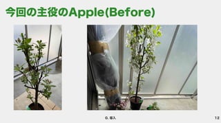 12
0. 導入
今回の主役のApple(Before)
 