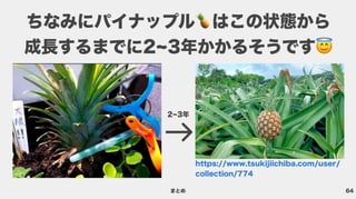 64
ちなみにパイナップル はこの状態から 
成長するまでに2~3年かかるそうです
2~3年
https://www.tsukijiichiba.com/user/
collection/774
まとめ
 