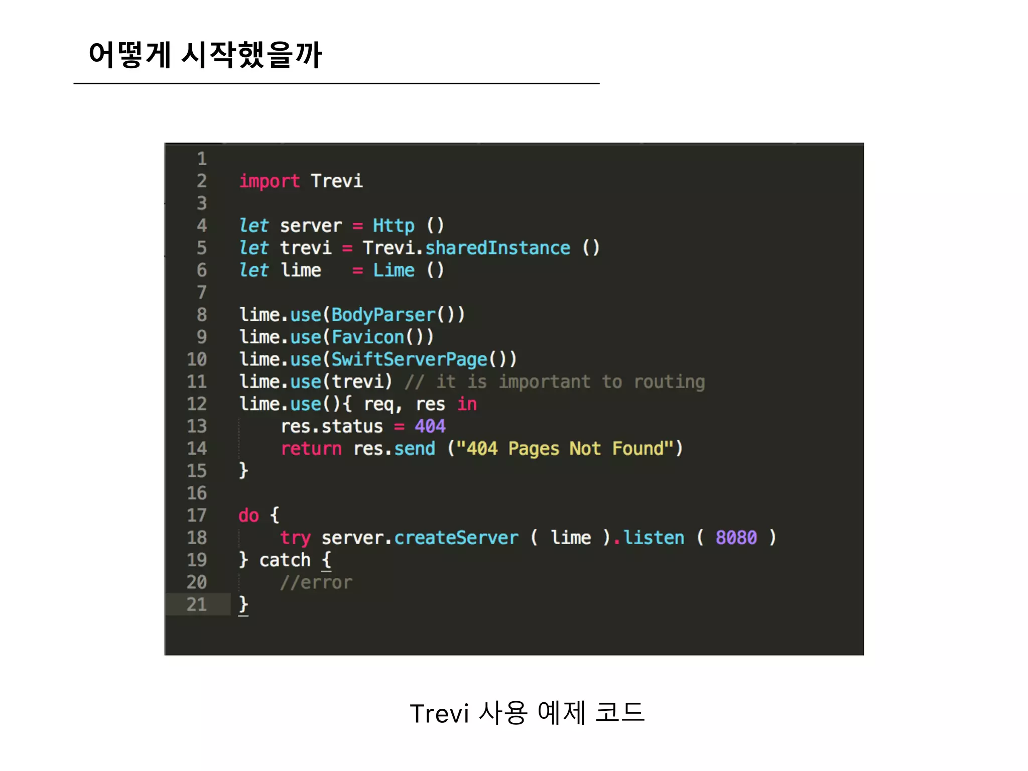 어떻게 시작했을까
Trevi 사용 예제 코드
 