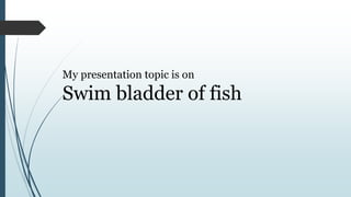 My presentation topic is on
Swim bladder of fish
 