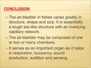 CONCLUSION
 The air-bladder in fishes varies greatly in
structure, shape and size. It is essentially
a tough sac-like structure with an overlying
capillary network.
 The air-bladder may be composed of one
or two or many chambers.
 It serves as an important organ as it helps
in respiration, buoyancy, sound
production, audition and sensing.
 