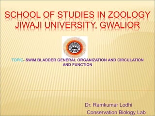 SCHOOL OF STUDIES IN ZOOLOGY
JIWAJI UNIVERSITY, GWALIOR
Dr. Ramkumar Lodhi
Conservation Biology Lab
TOPIC- SWIM BLADDER GENERAL ORGANIZATION AND CIRCULATION
AND FUNCTION
 