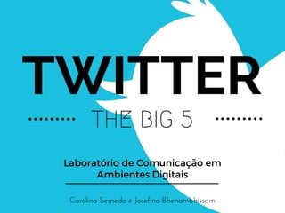 TWITTER
THE BIG 5
Laboratório de Comunicação em
Ambientes Digitais
Carolina Semedo e Josefina Bhenambhissam
 