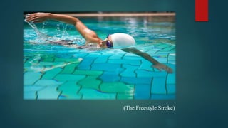 (The Freestyle Stroke)
 