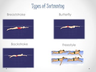 Types of Swimming 
Breaststroke Butterfly 
Backstroke Freestyle 
 