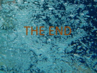 THE END 
