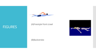 SWIMMING biomechanics and common Injuries ppt | PPTX