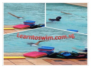Swimming classes in singapore  |adult swimming classes